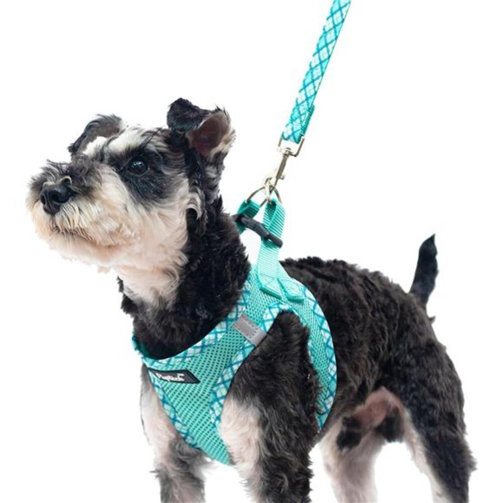 Dog Harness and Leash Set for Small Medium Dogs No Pull Step-in Soft Mesh Vest